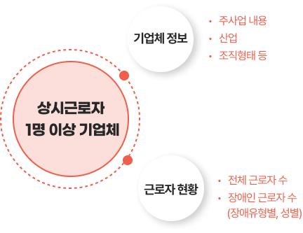 상시 1명 이상 기업체/ 기업체 정보(주사업 내용, 산업, 조직형태 등), 근로자 현황(전체 근로자 수, 장애인 글로자 수(장애유형별, 성별))